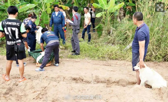 Chú chó trung thành canh giữ bên thi thể chủ nhân suốt 3 ngày 3 đêm nhất quyết không rời đi - Ảnh 1.