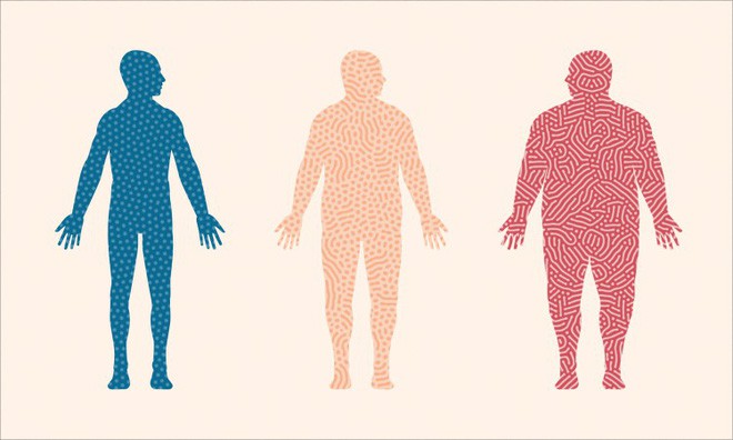 20 năm nghiên cứu đã kết luận: Chất béo không khiến cho bạn béo - Ảnh 1.