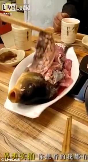 Bàn tiệc kinh dị ở Trung Quốc: cá còn thở, bạch tuộc quằn quại, lươn lúc nhúc cọ quậy trong bát - Ảnh 3.