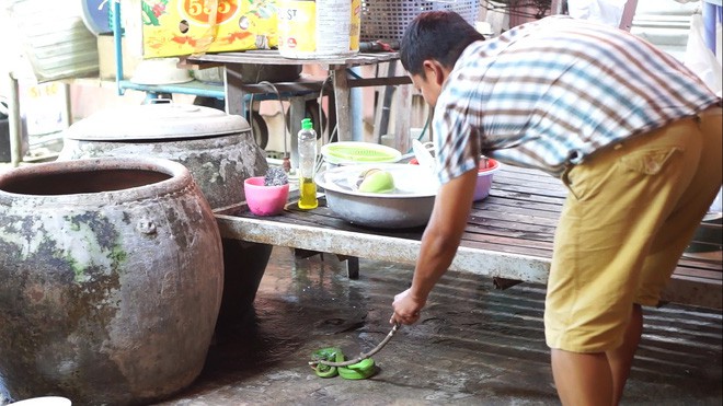 Bình Dương: Rắn lục đuôi đỏ cực độc xuất hiện bất thường, người dân sợ hãi - Ảnh 1.
