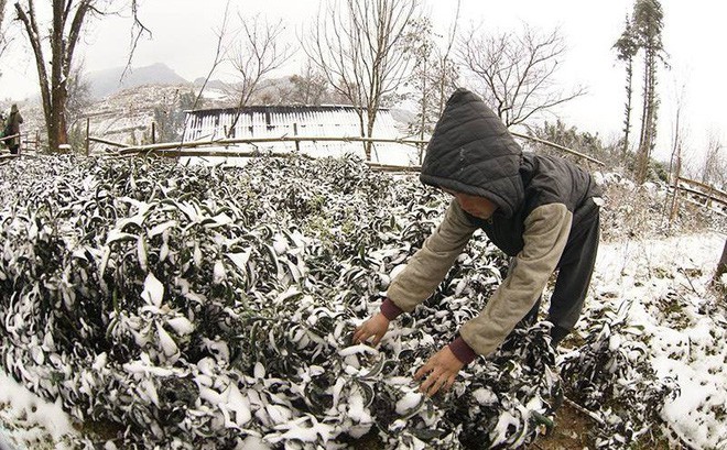 Đợt kh&ocirc;ng kh&iacute; lạnh c&oacute; cường độ rất mạnh sẽ tạo ra một trạng th&aacute;i thời tiết kh&aacute; đặc biệt - Ảnh 1.