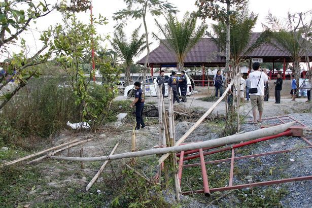 Thái Lan: Bị du khách kéo đuôi, voi giẫm tử vong hướng dẫn viên du lịch - Ảnh 1.