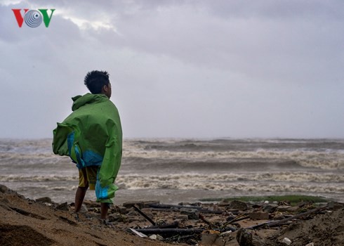 Lịch sử chưa từng có 16 cơn bão đổ bộ Biển Đông trong 1 năm - Ảnh 1.