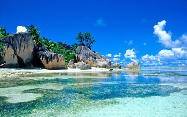 Cảnh tượng đáng xấu hổ tại thiên đường du lịch Bali - Ảnh 1.