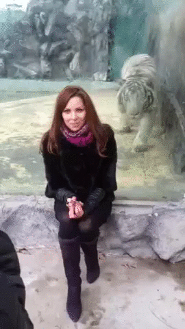 Những khoảnh khắc bạn phải cảm tạ trời đất v&igrave; may mắn đến kh&oacute; tin - Ảnh 10.