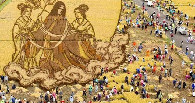 Ngắm triển lãm tranh nghệ thuật trên ruộng lúa tại Nhật Bản - Ảnh 30.