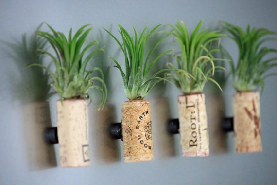 16 ý tưởng trồng cây tiết kiệm diện tích trong nhà nhỏ - Ảnh 29.