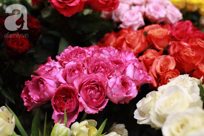 H&agrave; Nội: Chi 72 triệu để mua hoa tươi nhập khẩu đủ ti&ecirc;u ch&iacute; độc v&agrave; đẹp về chơi Tết - Ảnh 19.