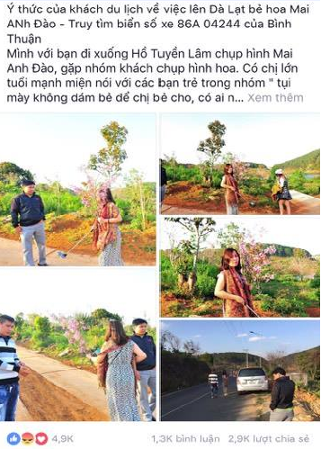 Nữ phó giám đốc sở bị tố bẻ hoa anh đào: Lãnh đạo Bình Thuận lên tiếng - Ảnh 2.
