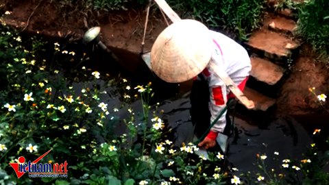 Hà Nội: Tưới rau sống bằng nước thải đen ngòm - Ảnh 4.