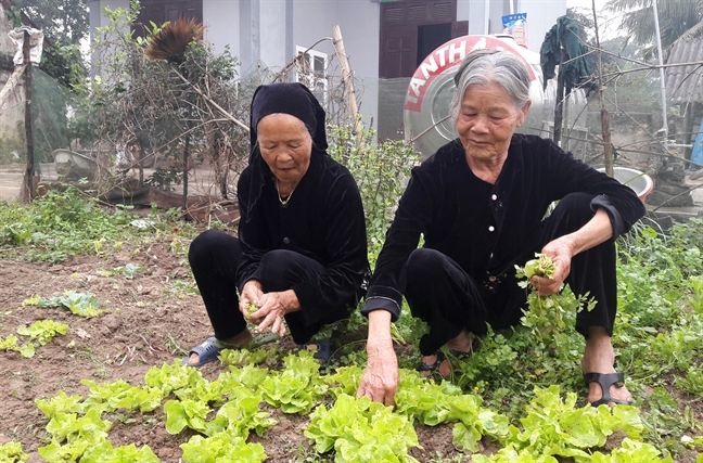 Vợ lớn mang trầu cau đi hỏi vợ 2 cho chồng - Ảnh 3.