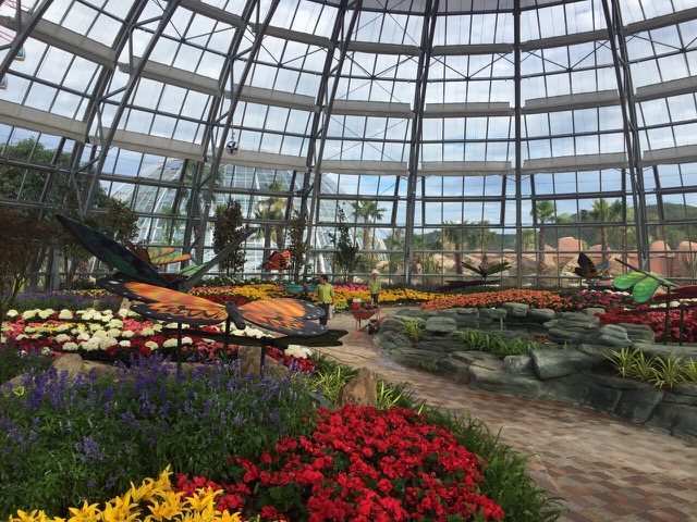 Vinpearl Land mở cửa Đồi Vạn Hoa - Công viên thực vật 5 châu độc đáo nhất Việt Nam - Ảnh 3.