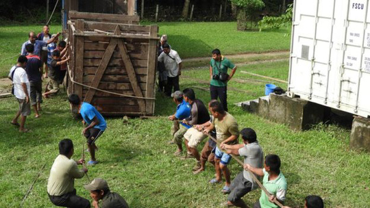 Lũ cuốn tê giác quý hiếm trôi 42 km, từ Nepal tới Ấn Độ - Ảnh 3.