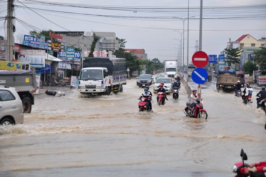 Mưa lớn, nhiều nơi ở Đồng Nai và Bà Rịa - Vũng Tàu ngập nặng - Ảnh 3.