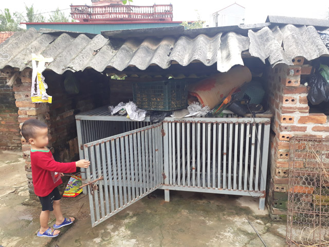 Thông tin bất ngờ về hình ảnh cậu bé 3 tuổi cưỡi trăn khổng lồ đùa nghịch trong nước lũ - Ảnh 3.