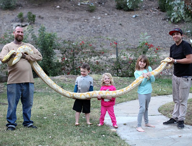 Despite the danger, the father let his 3-year-old daughter play with a giant python almost 6 meters long - Photo 4.