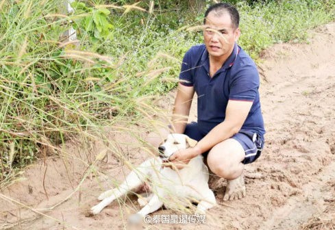 Chú chó trung thành canh giữ bên thi thể chủ nhân suốt 3 ngày 3 đêm nhất quyết không rời đi - Ảnh 3.