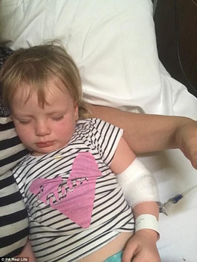 Con g&aacute;i bị m&egrave;o c&agrave;o, mẹ nghĩ chỉ l&agrave; vết thương đơn giản ai ngờ v&agrave;i giờ sau b&eacute; m&ecirc; man su&yacute;t chết - Ảnh 3.