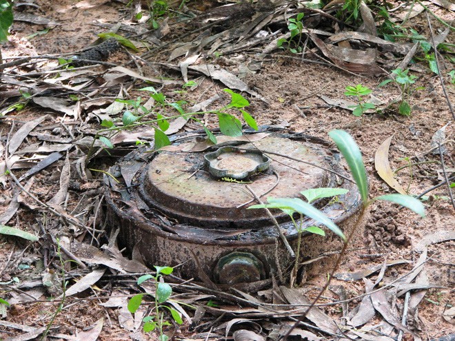 Những quan niệm sai lầm về bom, mìn: đặt vật nặng đè lên quả mìn không cứu sống bạn như trong phim - Ảnh 3.