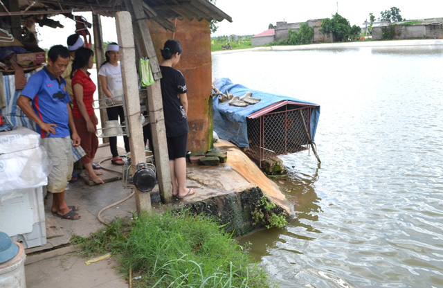Vụ 2 chị em ruột tử vong dưới ao: Nỗi đau xé lòng của cha mẹ - Ảnh 3.