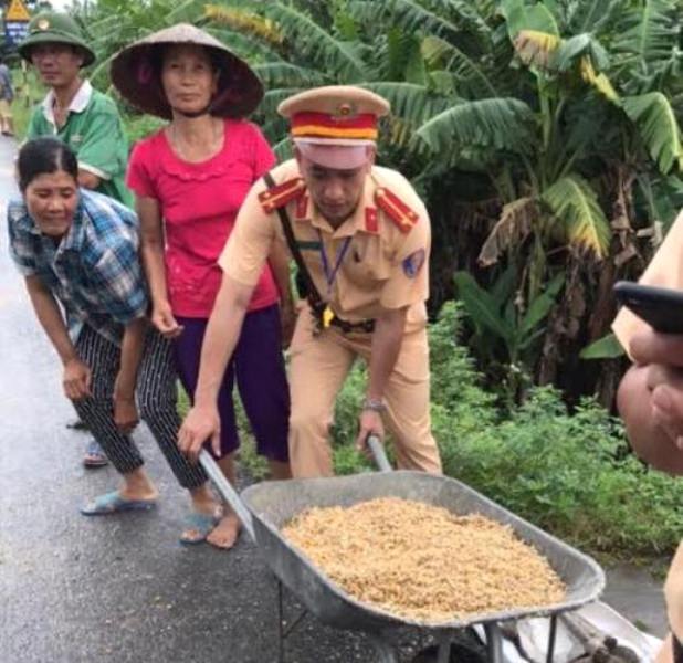 Quảng Ninh: Người dân tranh nhau hôi ngô rơi của tài xế container - Ảnh 3.