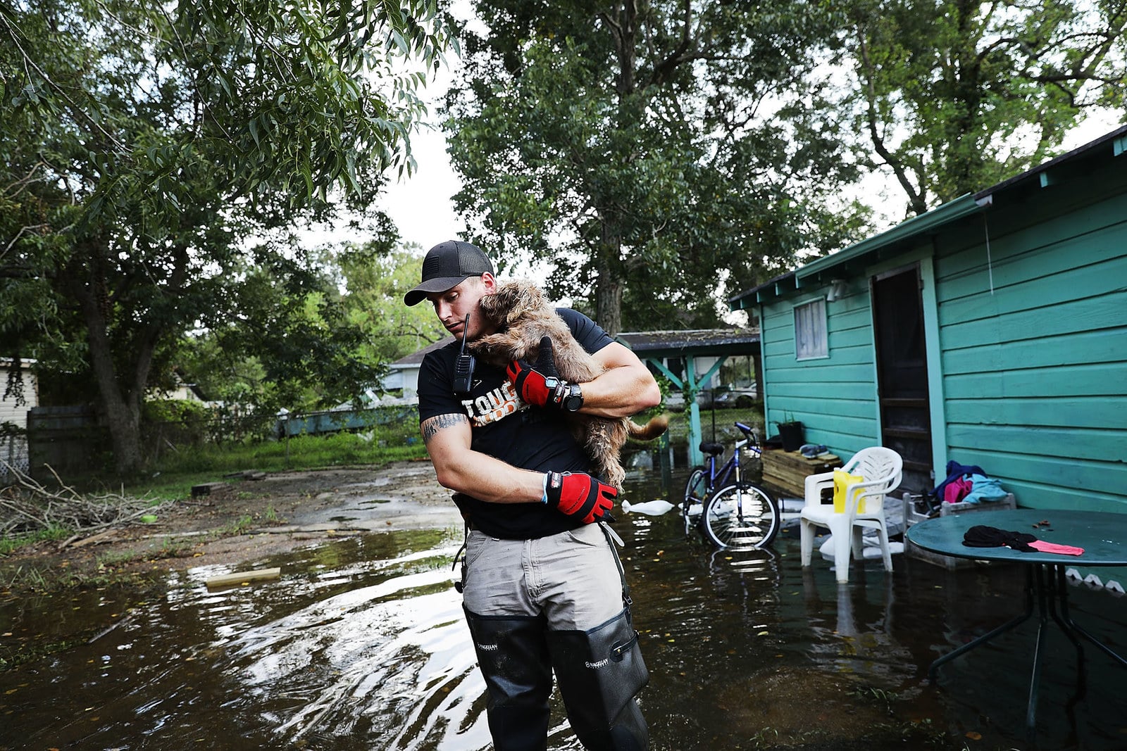 Спасение животных от наводнения. Locating displaced Pets during Hurricane Ian.