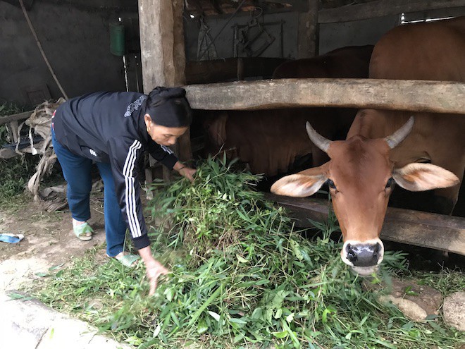 Cô giáo mầm non nhận lương hưu 1,3 triệu tự thưởng cho mình bộ quần áo thể thao nhân 20/11 - Ảnh 4.