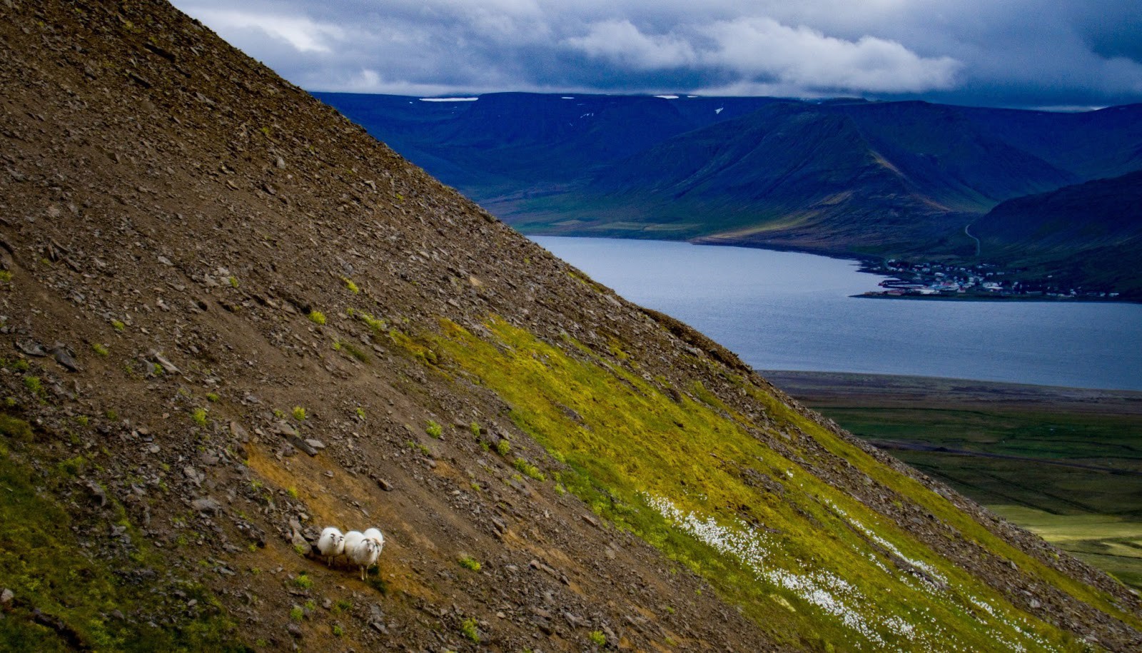 Mấy ai có thể ngờ hòn đảo băng Iceland đã sắp sửa bị xóa sổ bởi hiện tượng sa mạc hóa - Ảnh 4. Mấy ai có thể ngờ hòn đảo băng Iceland đã sắp sửa bị xóa sổ bởi hiện tượng sa mạc hóa - Ảnh 4.
