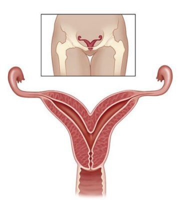 Mẹ chia sẻ ảnh bầu được cư dân mạng trầm trồ vì một hiện tượng quá đẹp, ít người biết thực chất là nguy hiểm - Ảnh 4.