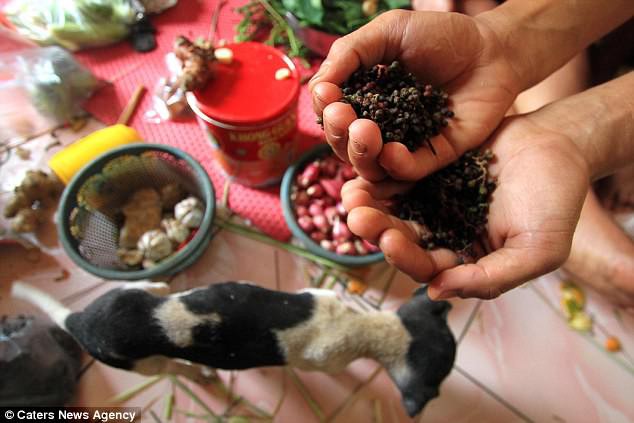 Hình ảnh rùng rợn trong những trang trại thịt chó: Nỗi đau của những chú chó phải chứng kiến cái chết của đồng loại - Ảnh 4.