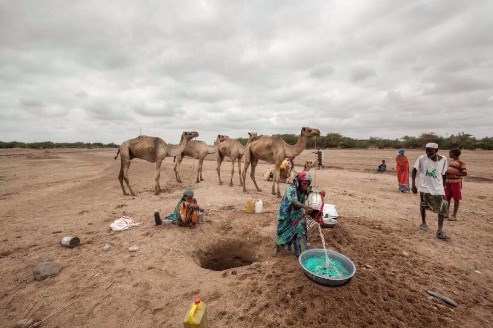 Somalia hạn hán: 110 người chết trong 48 giờ - Ảnh 5.