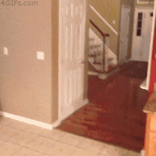 16 pha chơi khăm o&aacute;i oăm cho thấy quả b&aacute;o l&agrave; c&oacute; thật - Ảnh 9.