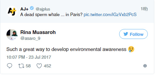 Cá voi khổng lồ phơi nắng giữa lòng Paris khiến người dân và du khách vô cùng kinh ngạc - Ảnh 4.