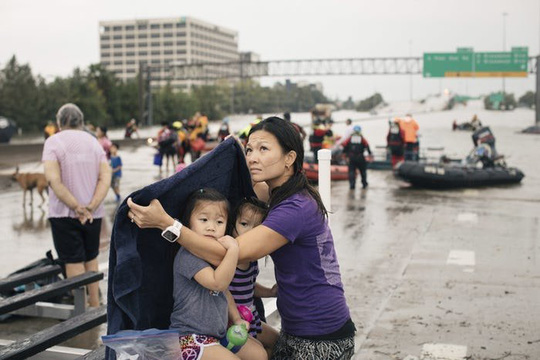 Hình ảnh người Việt trong mưa bão Harvey - Ảnh 5.