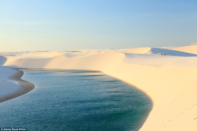 Kỳ diệu cảnh sa mạc biến thành hàng ngàn hồ nước xanh biếc đẹp như tiên cảnh - Ảnh 5.