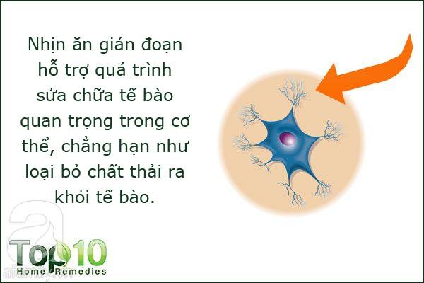 Nhịn ăn gián đoạn và những lợi ích cho sức khỏe không phải ai cũng biết - Ảnh 5.