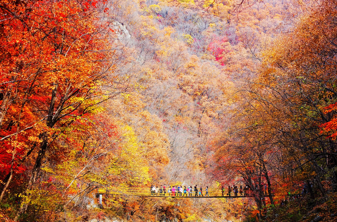 Tổng hợp 65+ về hình nền mùa thu đẹp mới nhất - Du học Akina