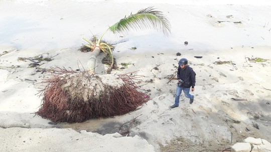 Chùm ảnh: Bờ biển Cửa Đại tan hoang hơn 2 km - Ảnh 5.