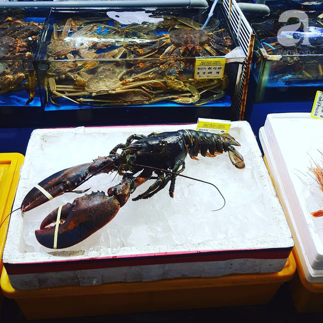 Đi Seoul mà mê hải sản, nhất định phải đến chợ Noryangjin - Ảnh 5.