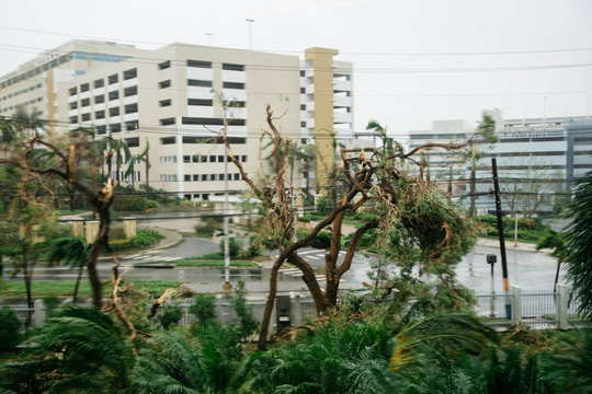 Bão Maria gieo rắc kinh hoàng tại Puerto Rico - Ảnh 6.