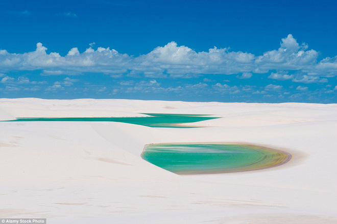 Kỳ diệu cảnh sa mạc biến thành hàng ngàn hồ nước xanh biếc đẹp như tiên cảnh - Ảnh 6.