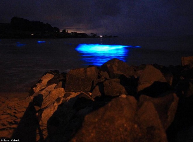 Kỳ diệu vùng nước biển cứ chạm vào là phát ra ánh sáng màu xanh lam - Ảnh 6.