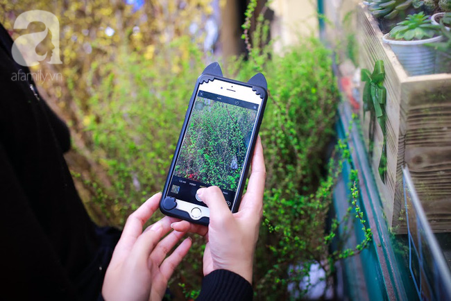 H&agrave; Nội: Chi 72 triệu để mua hoa tươi nhập khẩu đủ ti&ecirc;u ch&iacute; độc v&agrave; đẹp về chơi Tết - Ảnh 7.