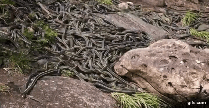 Những v&ugrave;ng đất nh&igrave;n đ&atilde; thấy khiếp sợ, kh&ocirc;ng ai muốn đặt ch&acirc;n đến - Ảnh 7.