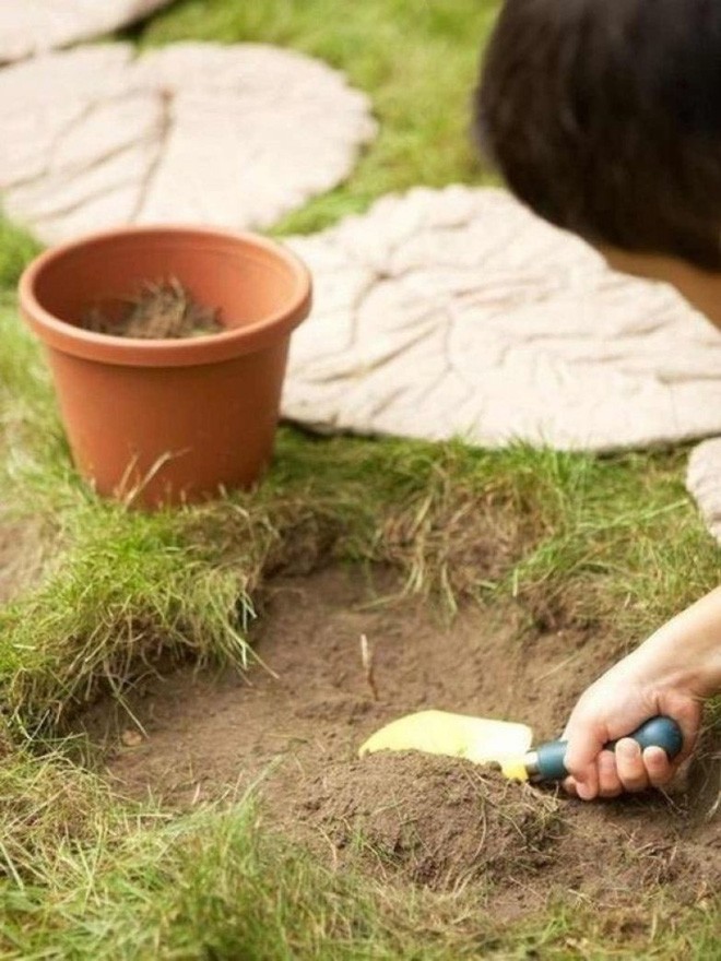 Cậu bé đem xi măng đổ lên lá cây, không ai ngờ đó lại là tuyệt tác người lớn cũng phải tấm tắc khen - Ảnh 7.