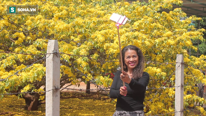 Cận cảnh c&acirc;y mai được trả gi&aacute; 2 tỷ ở Đồng Nai - Ảnh 8.