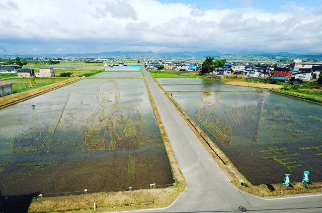 Ngắm triển lãm tranh nghệ thuật trên ruộng lúa tại Nhật Bản - Ảnh 22.