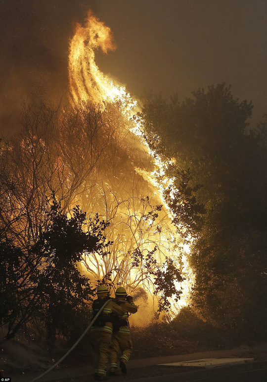 Cháy rừng ở California dữ dội nhất trong lịch sử - Ảnh 8.