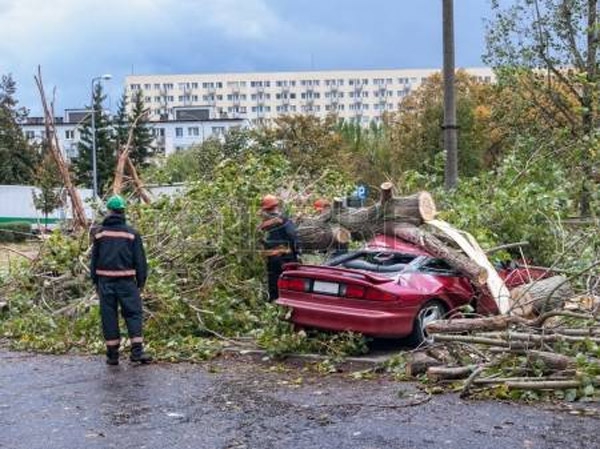 Bão phá nát nhiều nước châu Âu - Ảnh 8.