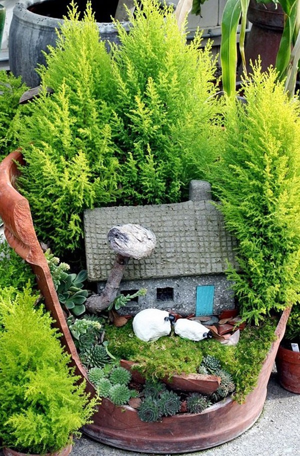 17 khu vườn t&iacute; hon được l&agrave;m từ những chậu hoa vỡ - Ảnh 15.